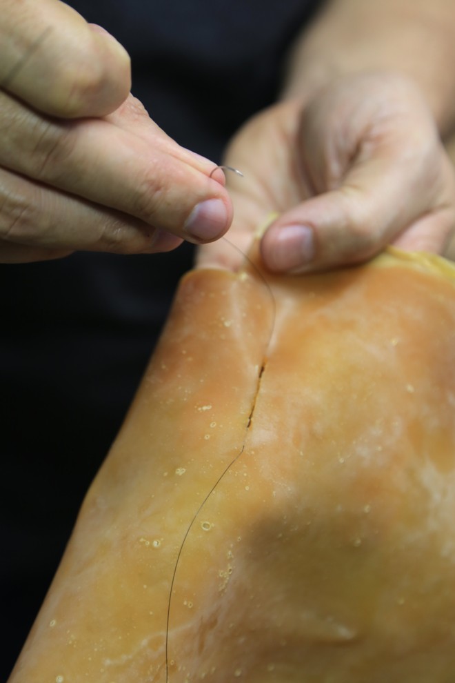 Pele à base de látex. | Ivonaldo Alexandre/Gazeta do Povo