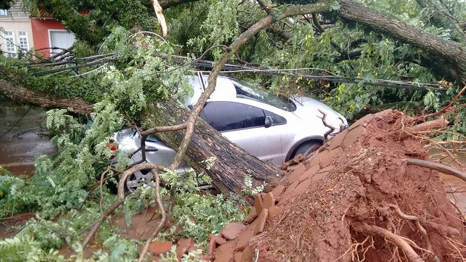 Internauta Estefani Caroline Knak registrou os estragos em Marechal Cândido Rondon | Estefani Caroline Knak/Facebook
