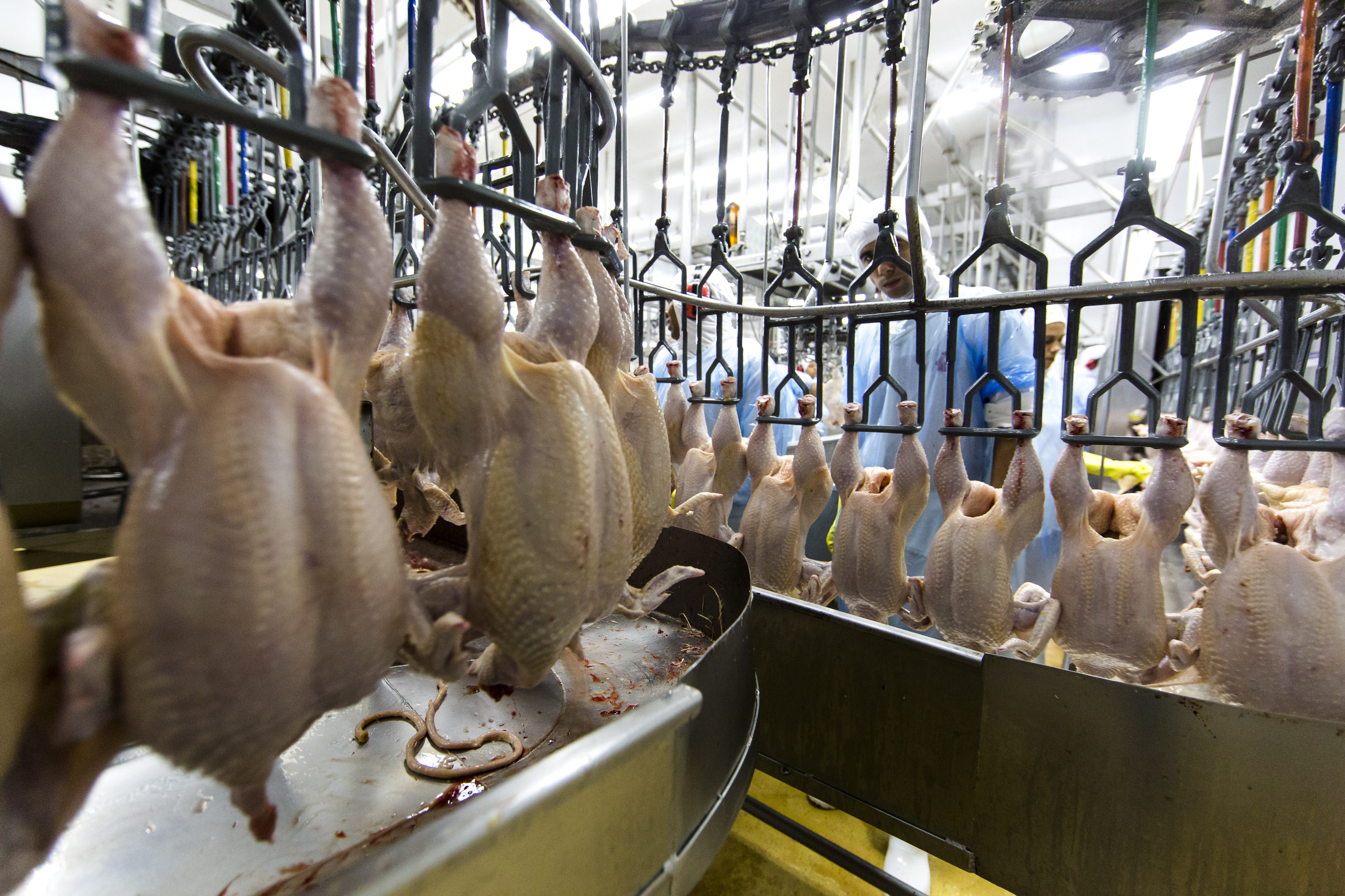Indústrias dosam investimentos com base na abertura de mercado no exterior no país. | Fotos: Lineu Filho/Gazeta do Povo