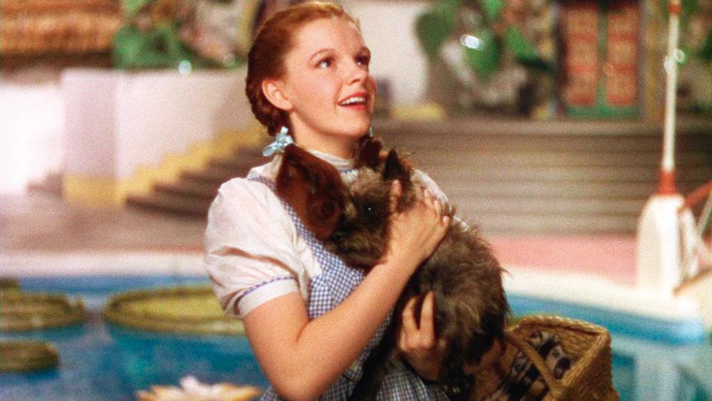 Cena do filme “O Mágico de Oz”. | Divulgação