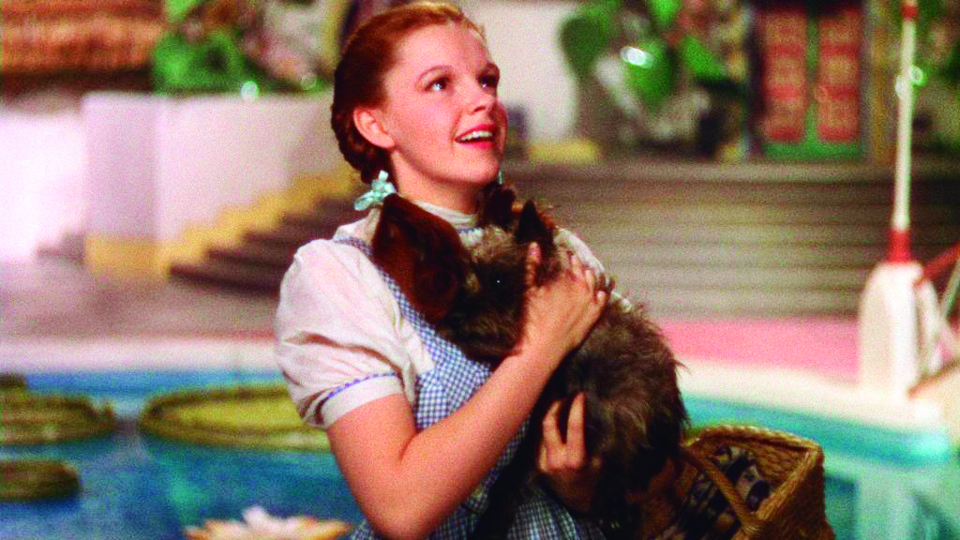 Vestido de Judy Garland em “O Mágico de Oz” é leiloado por US$1,56 milhão Cena do filme “O Mágico de Oz”. | Divulgação