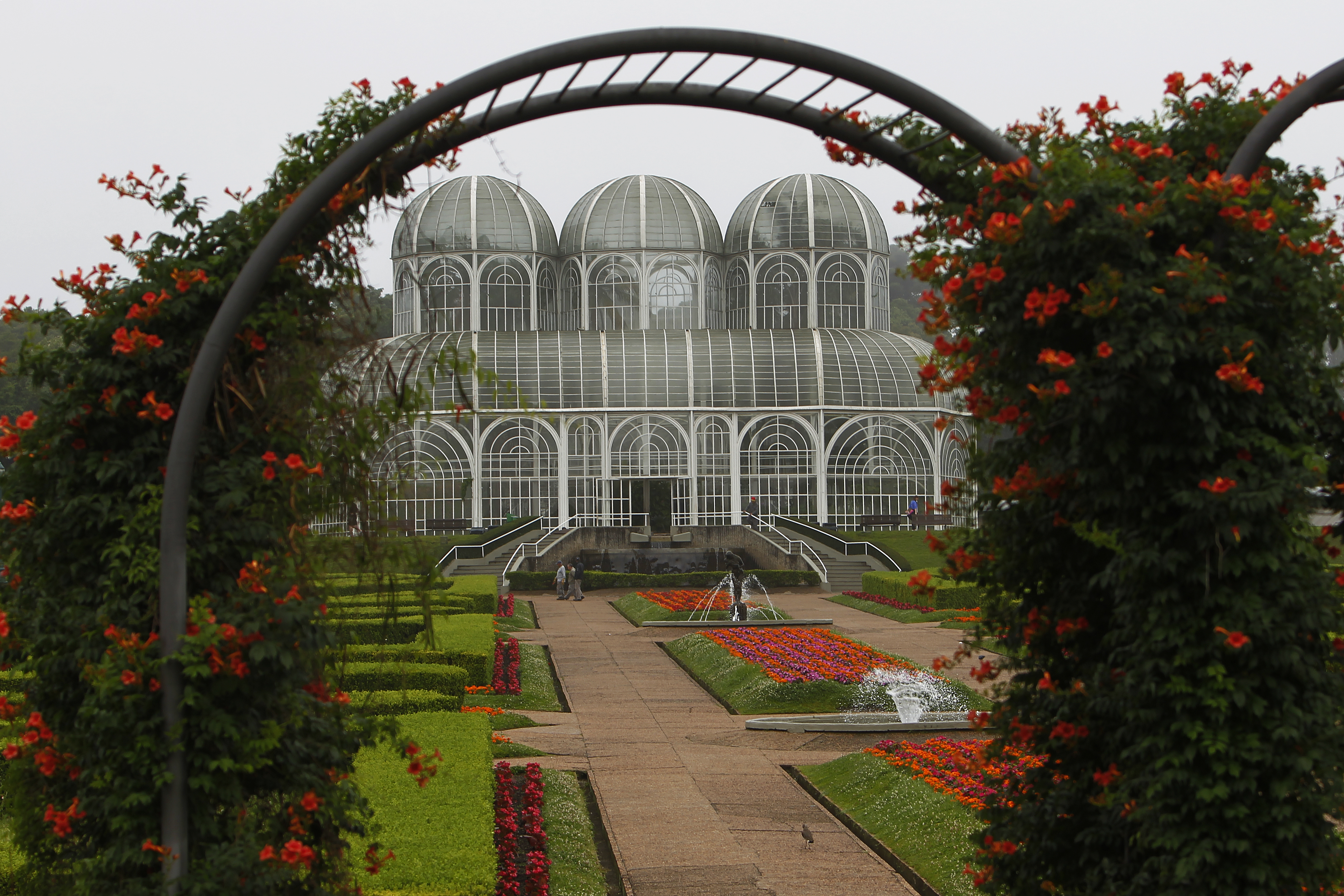  | Antonio More/Gazeta do Povo