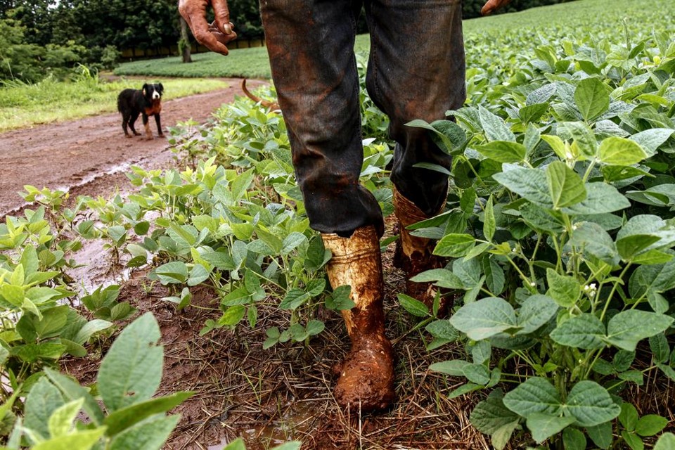 Agricultores do Sul do Brasil trabalham com quilo de barro nas botas. | André Rodrigues/Gazeta do Povo