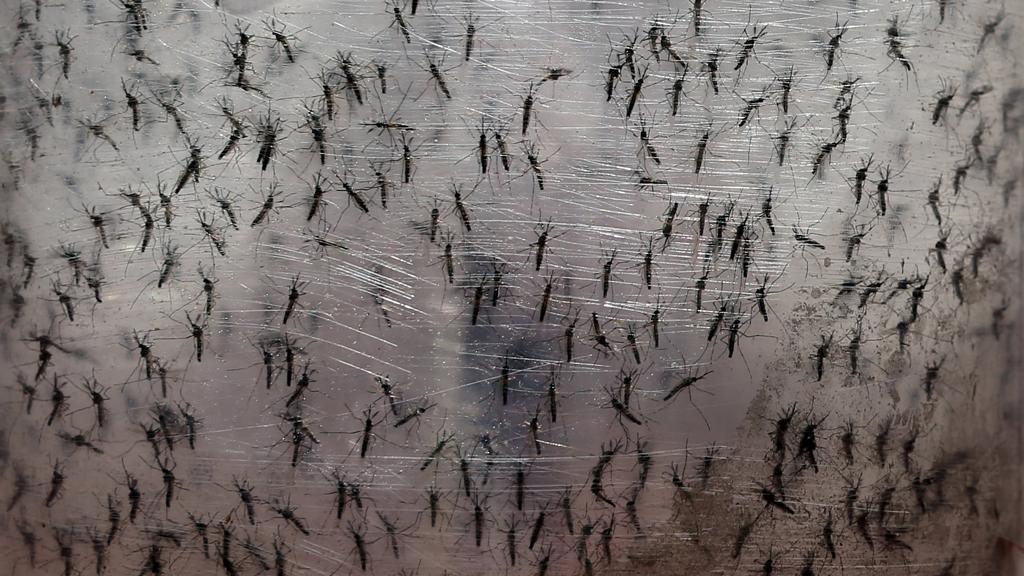 | PAULO WHITAKER/REUTERS