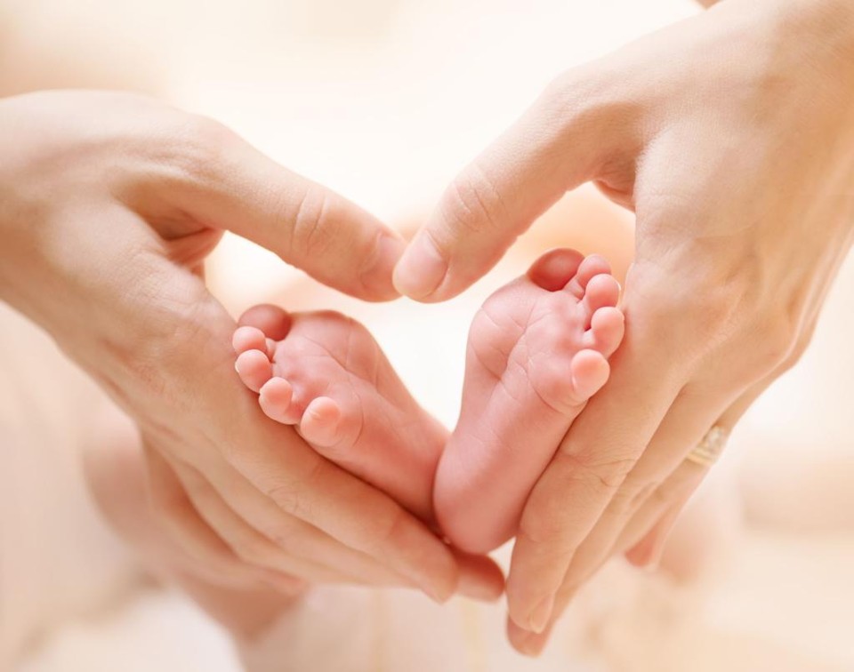 Para participar, a família tem de entrar em contato com a Icatu Seguros e apresentar a documentação pedida | Bigstock
