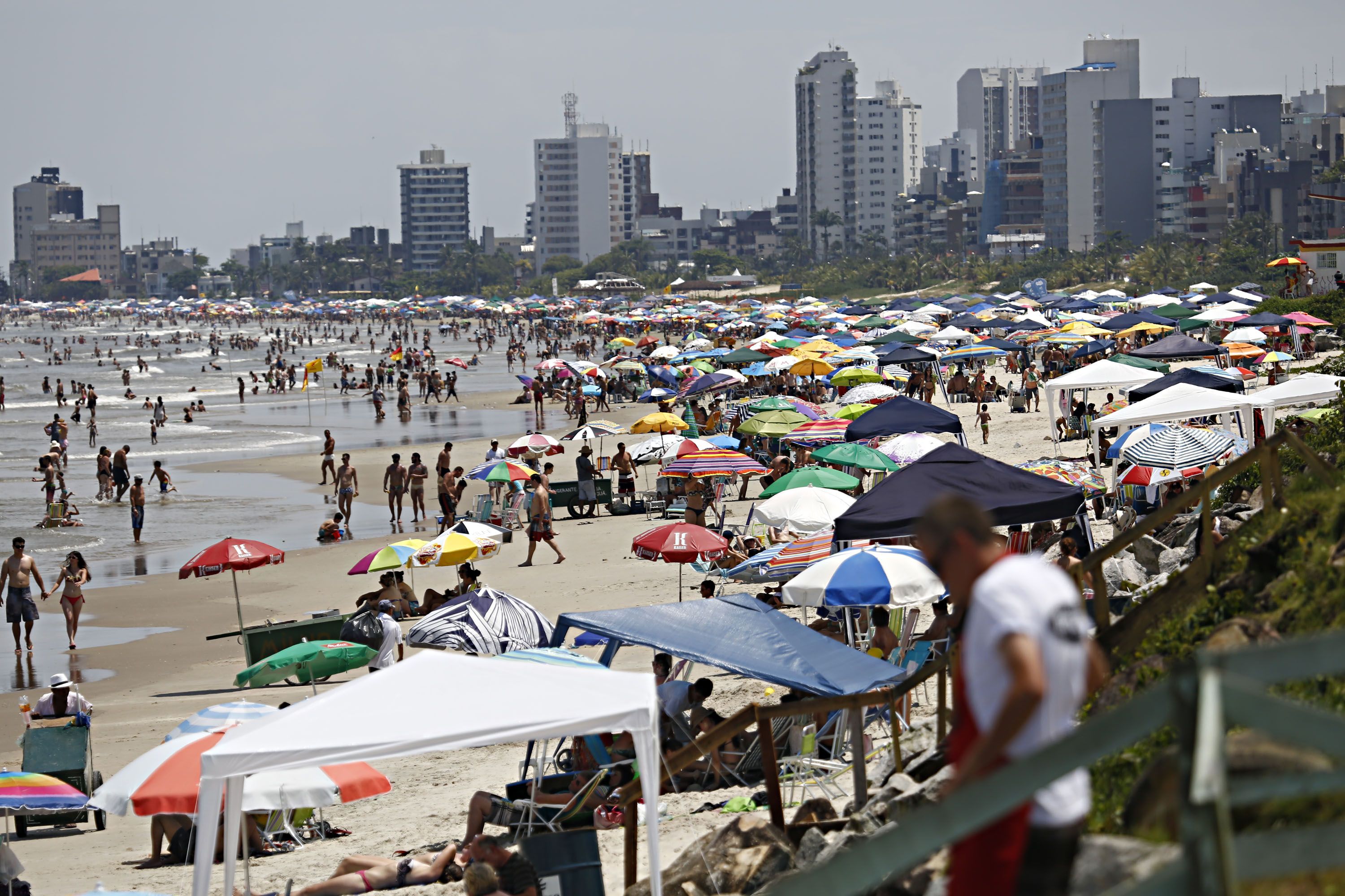 | Felipe Rosa/Gazeta do Povo