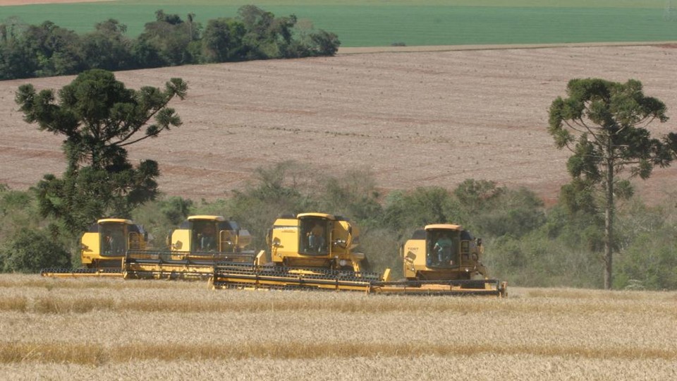 O agronegócio evitou uma queda mais forte da economia local, segundo o Ipardes. | Dirceu Portugal/Gazeta do Povo