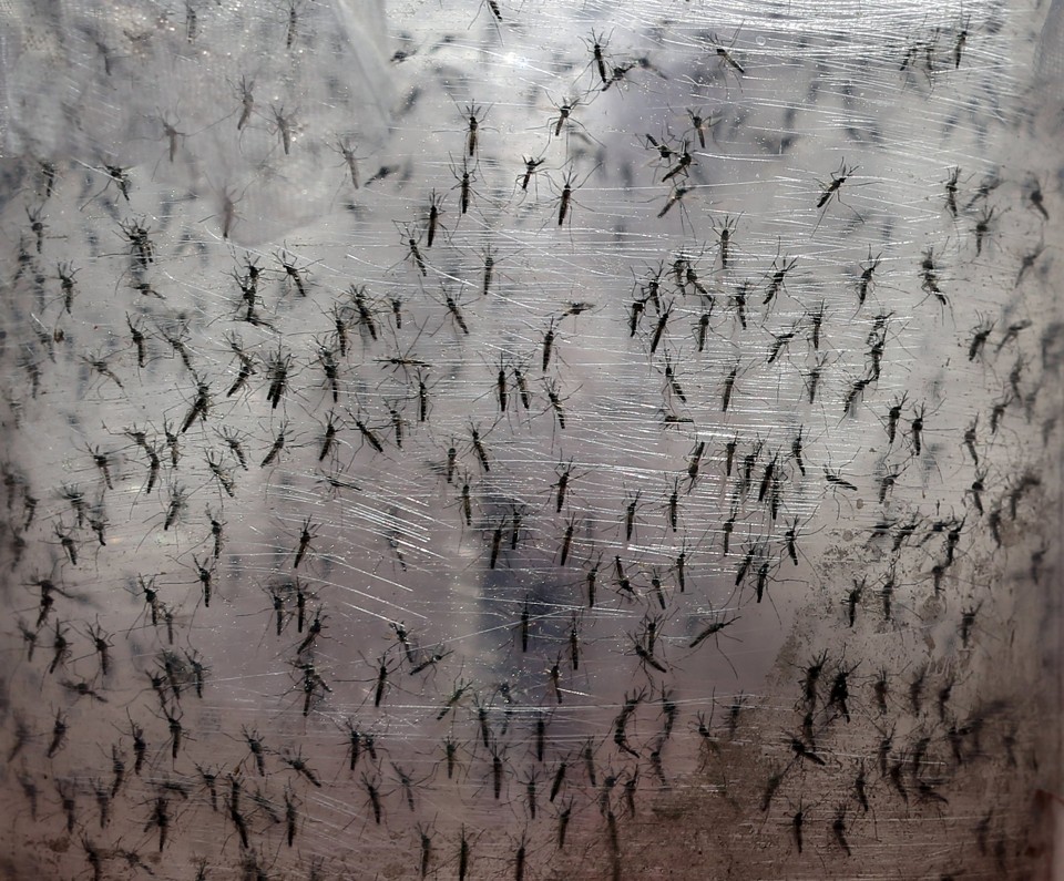  | PAULO WHITAKER/REUTERS