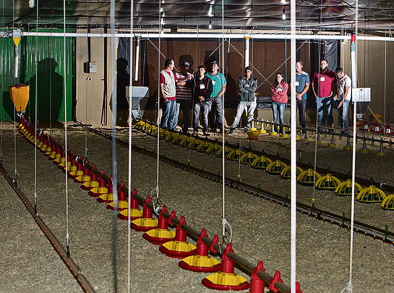 Alunos levam para o campo os conhecimentos da “granja-escola”. | Lineu Filho/Gazeta do Povo