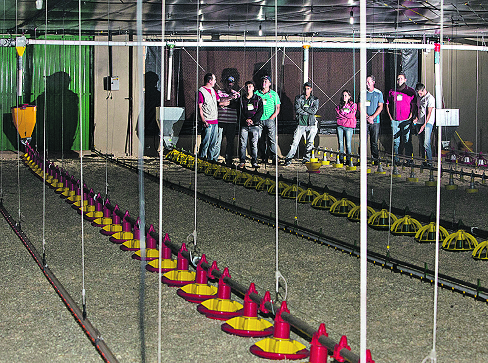 Alunos levam para o campo os conhecimentos da “granja-escola”. | Lineu Filho/Gazeta do Povo
