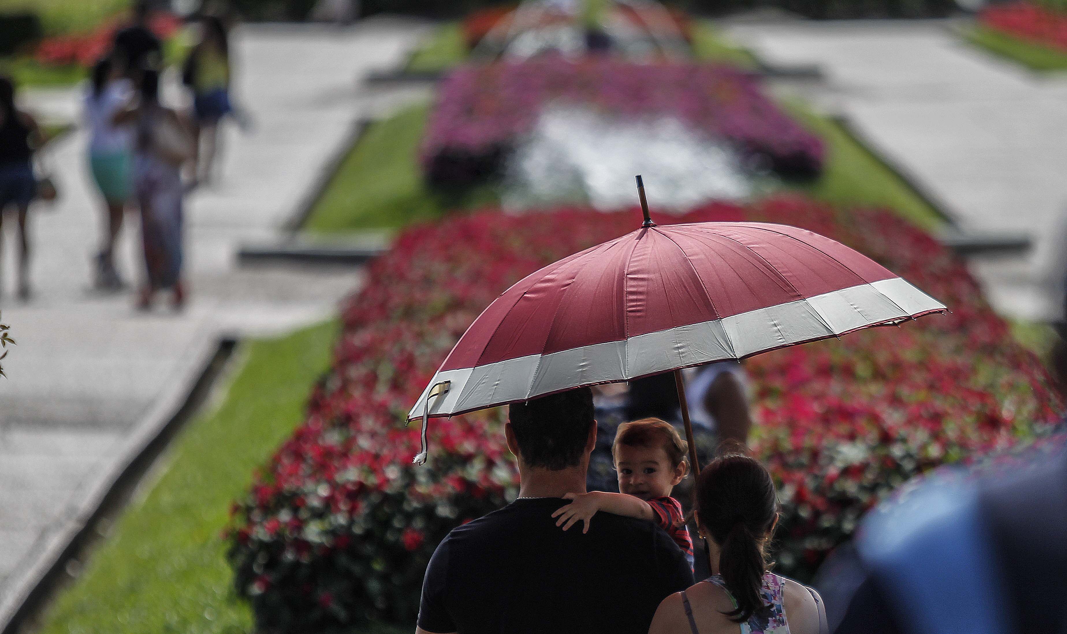 | Jonathan Campos/Gazeta do Povo