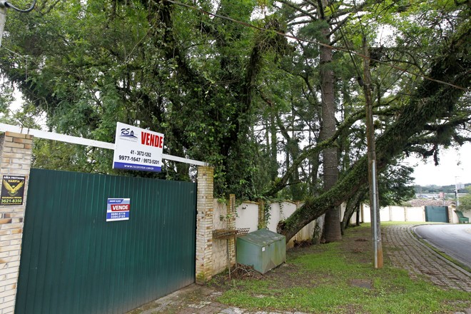 Imagens do CT do Coritiba em Quatro Barras, onde treinam as categorias de base do clube. Empresa dona do local alega que o Alviverde está em atraso com o pagamento do aluguel e já pediu na Justiça a desocupação da área. | Antônio More/Gazeta do Povo