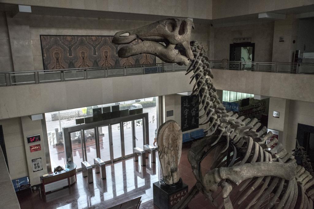 Esqueleto de dinossauro na entrada do Museu Natural de Tianyu, na China | GILLES SABRIE/NYT