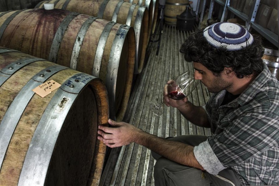 Yaakov Henig, estudante da Universidade Ariel, trabalha na elaboração de vinhos com castas locais | RINA CASTELNUOVO/NYT