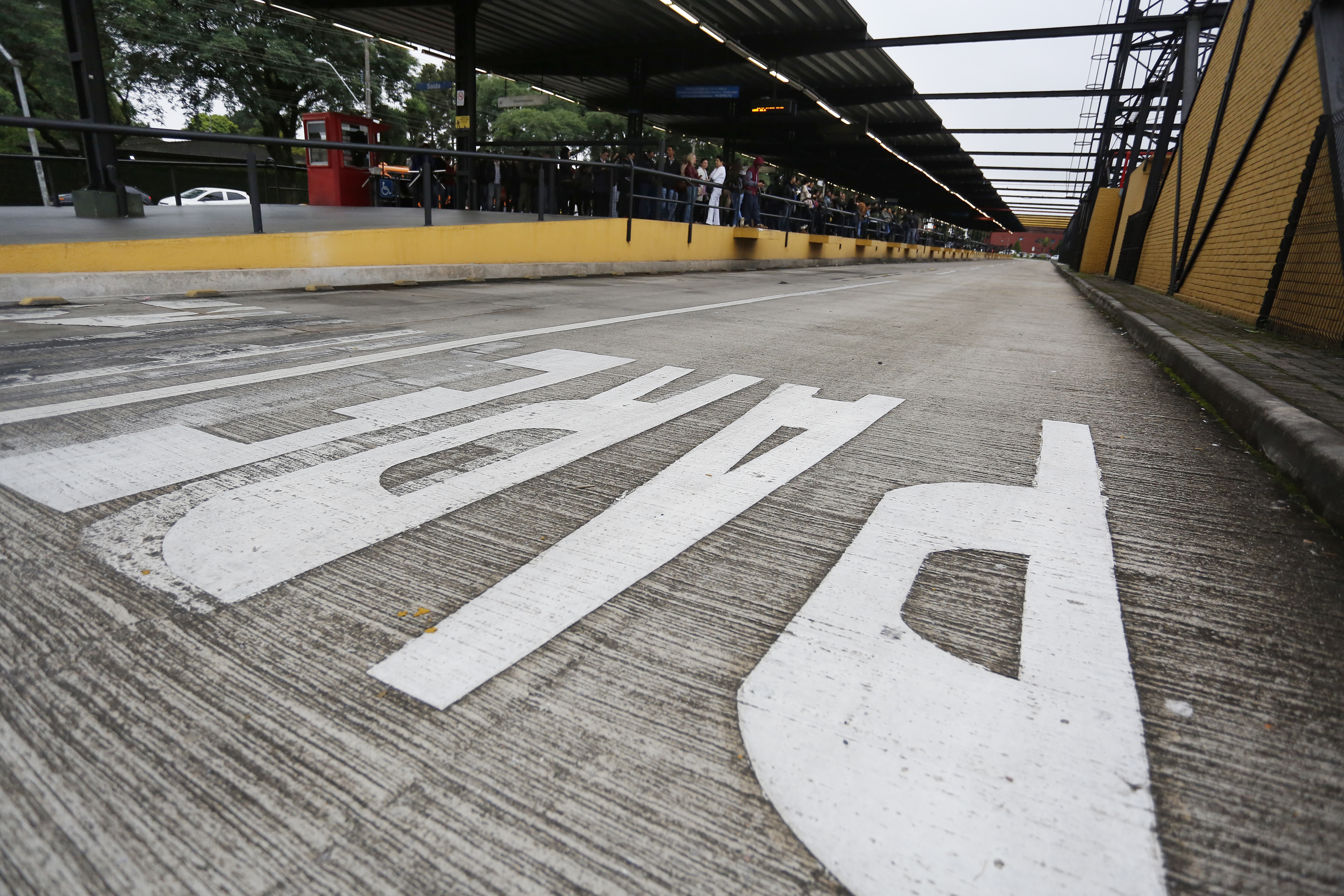  | Henry Milleo/Gazeta do Povo