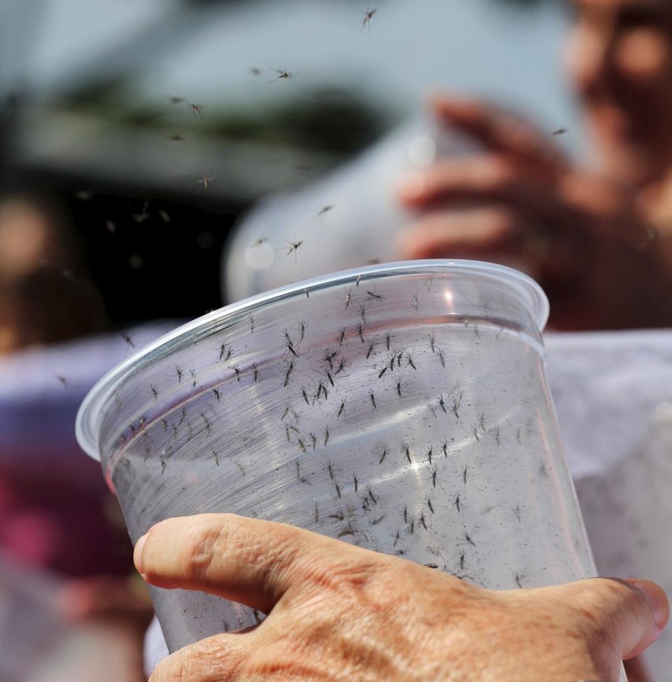  | PAULO WHITAKER/REUTERS