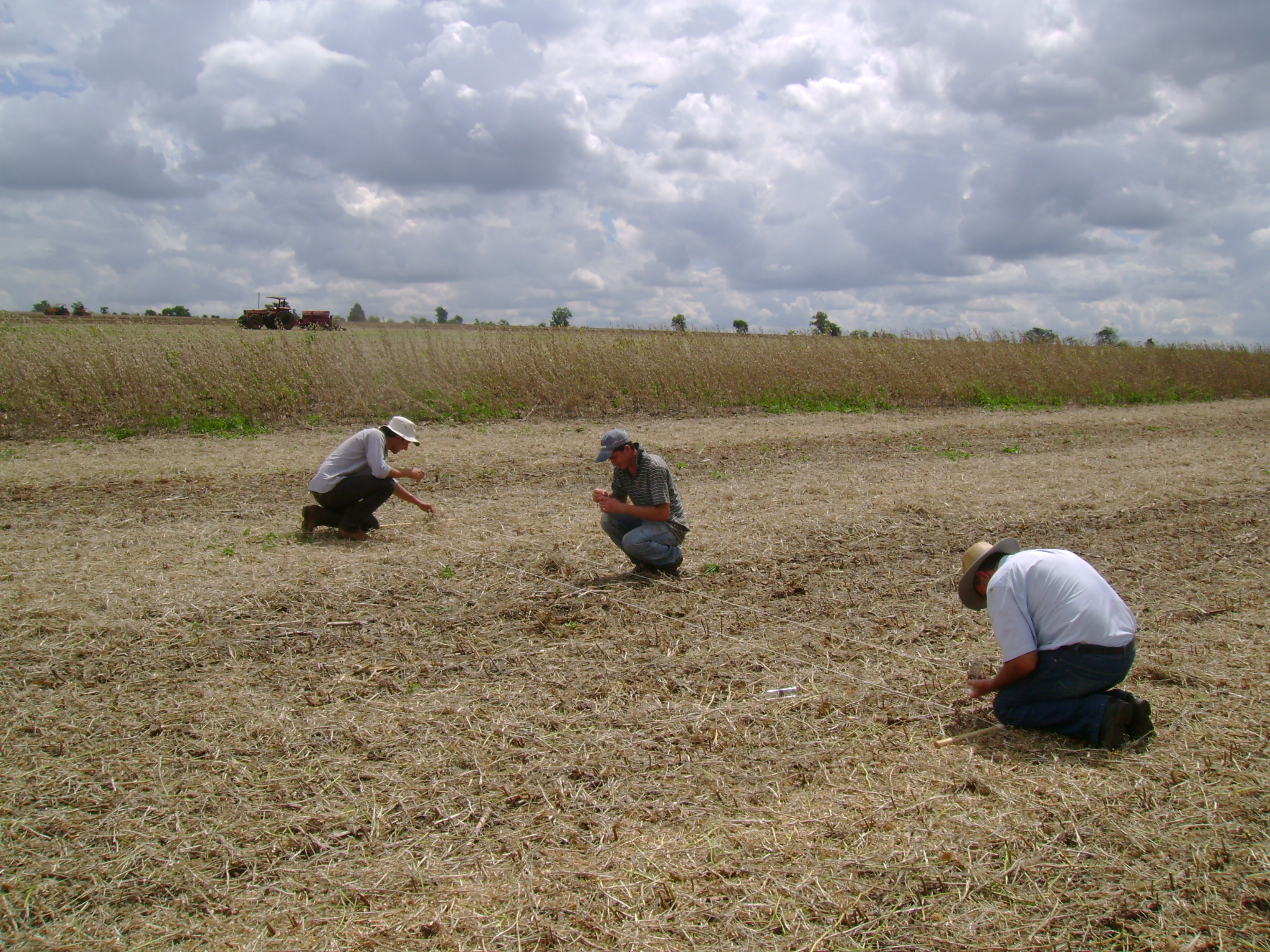 Profissionais realizam trabalho continuo com agricultores nos 399 municípios do Paraná. | Arquivo / Gazeta do Povo