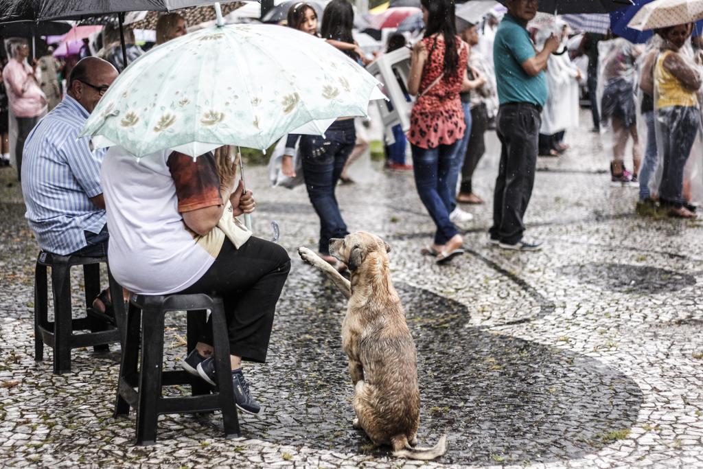  | Daniel Castellano/Gazeta do Povo