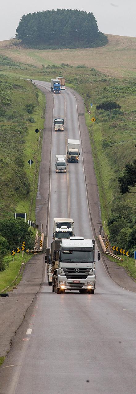 Transporte por vias simples encarecem entrega da carne. | Hugo Harada/Gazeta do Povo