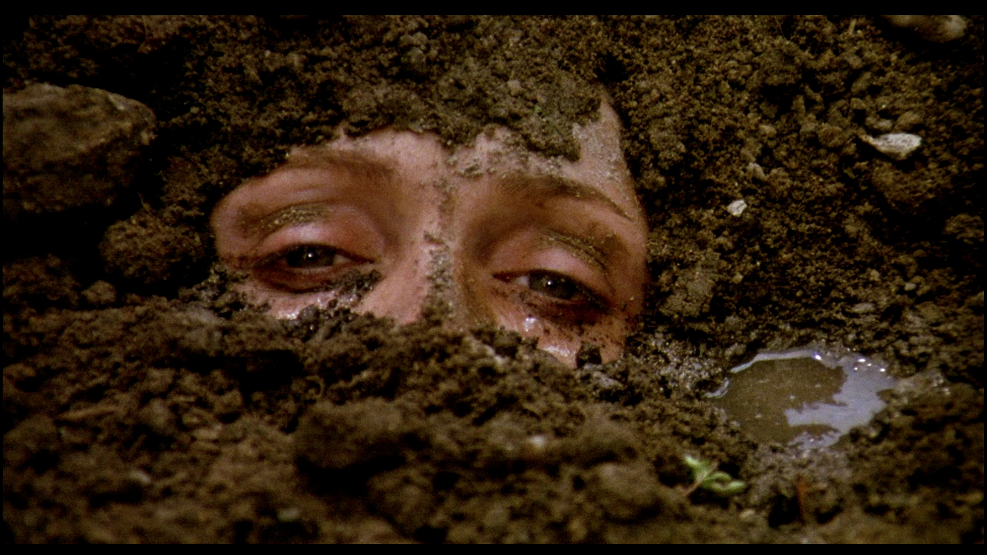 Cena de “Teorema”, filme de Pasolini. | Divulgação