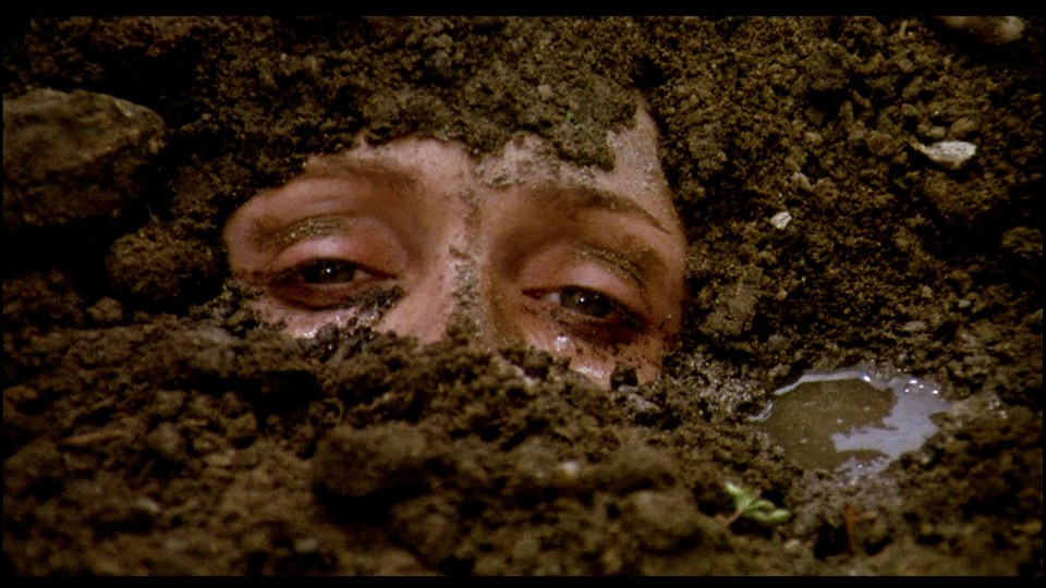 Cena de “Teorema”, filme de Pasolini. | Divulgação