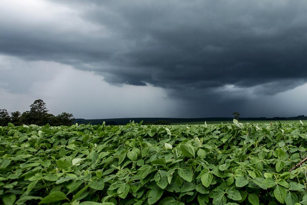 Na região Sul as temperaturas devem ficar em torno da média devido à maior quantidade de chuvas. | André Rodrigues/Gazeta do Povo