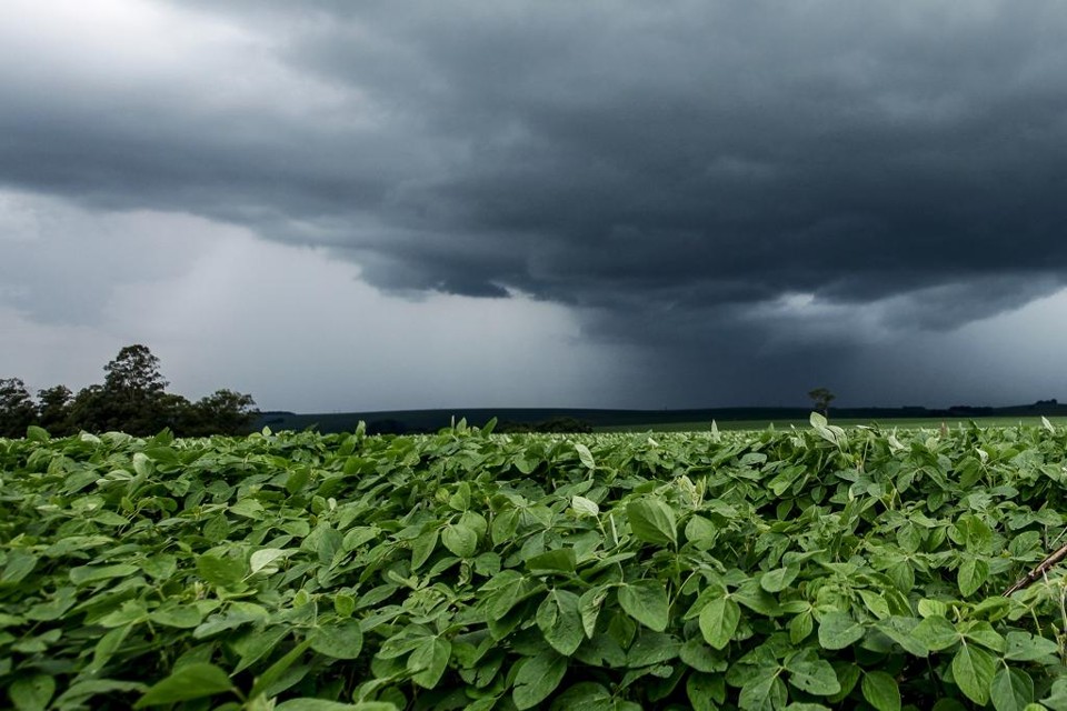 Na região Sul as temperaturas devem ficar em torno da média devido à maior quantidade de chuvas. | André Rodrigues/Gazeta do Povo