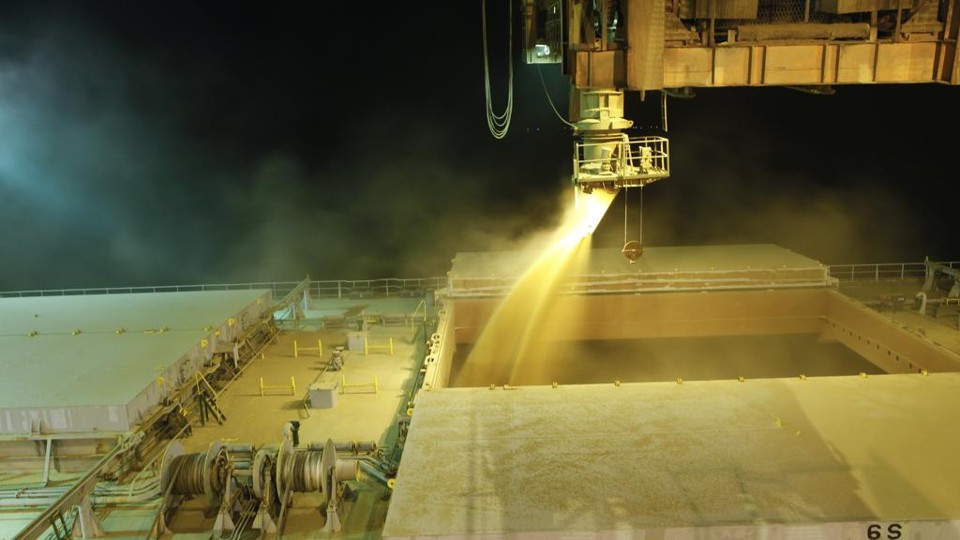 Exportadora de soja, a Bunge foi a terceira empresa que mais embarcou produtos no ano passado. | André Rodrigues/Gazeta do Povo