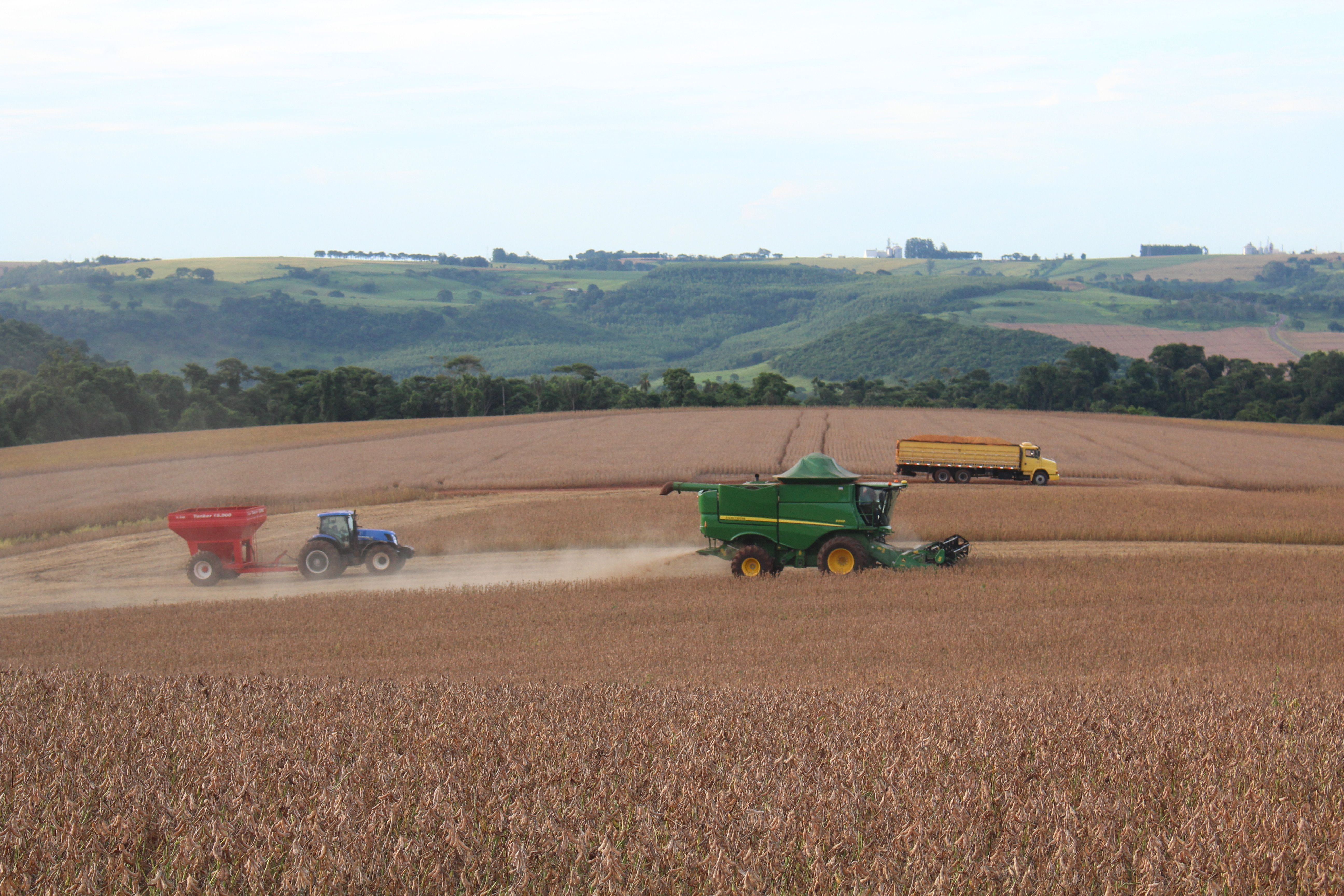 Até agora, produtores não tiveram três dias consecutivos de tempo bom para colher. Jeito é aproveitar qualquer pausa nas chuvas para colocar as máquinas em ação. | Ruderson Ricardo / Gazeta do Povo