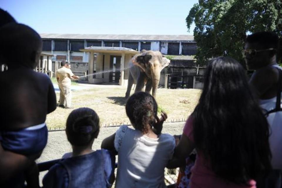 | Agência Brasil/ Tomaz Silva/
