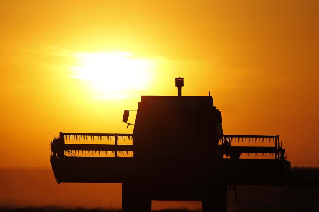 Atividade deve seguir em ritmo lento porque lavouras foram plantadas tardiamente e por causa das chuvas. | Jonathan Campos/Gazeta do Povo