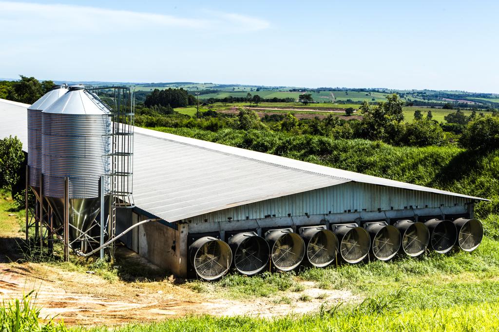 Granjas estão entre os itens financiados pelo BRDE em 2015. | Lineu Filho/Gazeta do Povo
