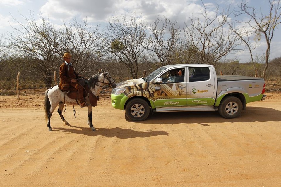 Documentário desvenda os segredos da agricultura familiar no Brasil | Jonathan Campos/Gazeta do Povo