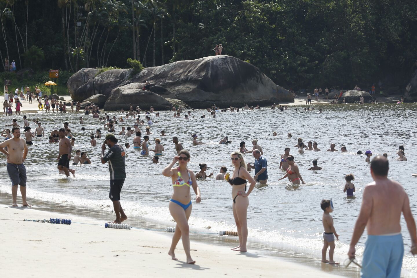 | Felipe Rosa/Gazeta do Povo