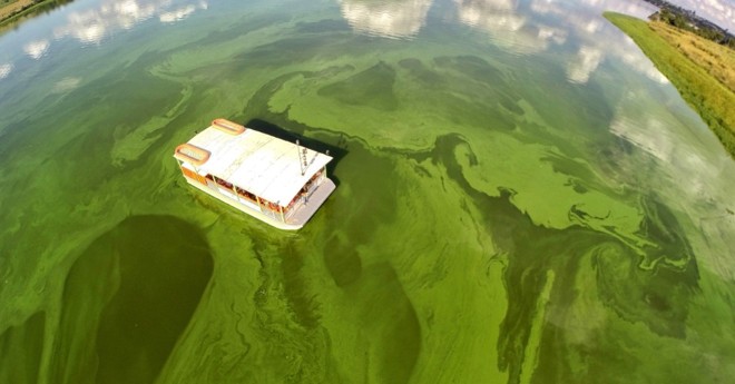 | Juca Varella/Divulgação