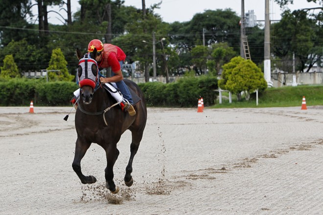  | Antônio More/Gazeta do Povo