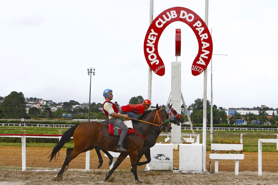Jóqueis e cavalos já se preparam para a esperada volta à pista em Curitiba, marcada para o próximo domingo (17). | Antônio More/Gazeta do Povo