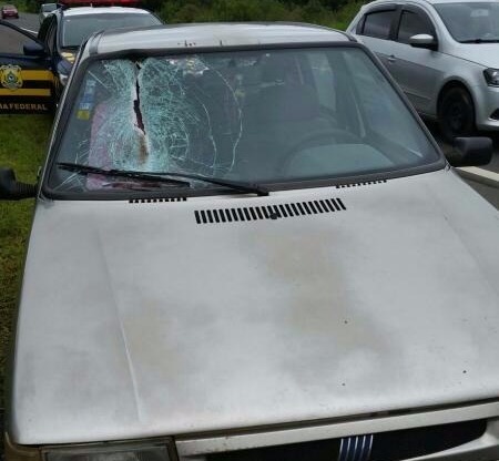 Parte de um tambor de freio de caminhão atravessou o veículo e matou o passageiro. | Divulgação/PRF