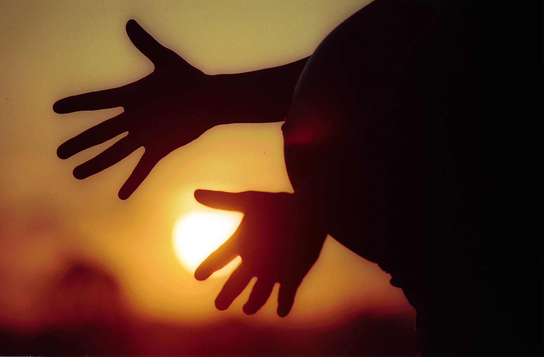 O zika vírus e sua ligação com o aumento nos casos de microcefalia preocupa gestantes e mulheres de todo o país. A perspectiva é de que o vírus, transmitido pelo mosquito Aedes aegypti – assim como a dengue e a febre chikungunya –, se espalhe ainda mais em 2016. | Jonathan Campos/Arquivo/Gazeta do Povo