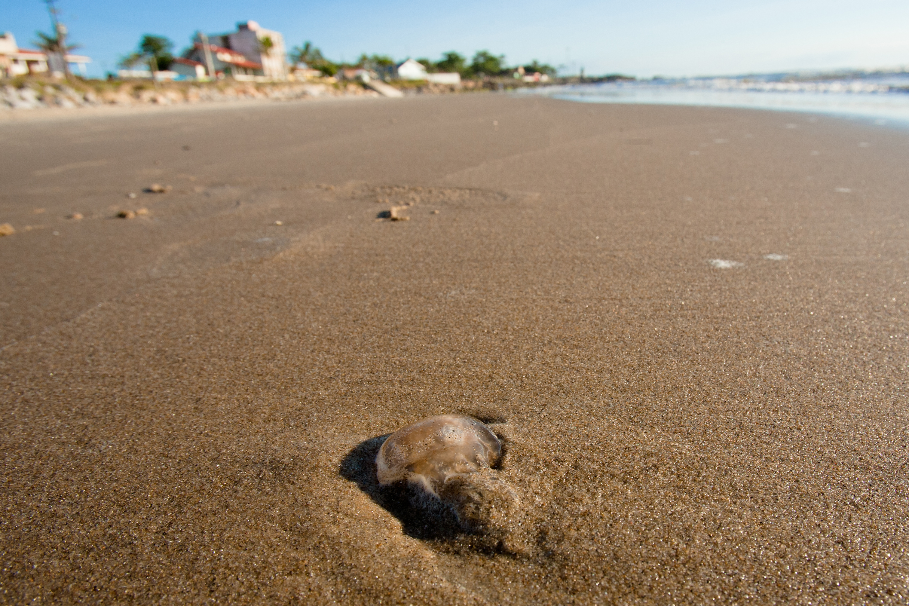 | Henry Milleo/Gazeta do Povo/Arquivo