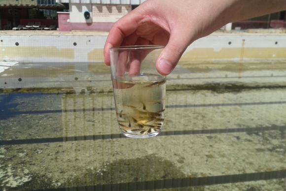 | Divulgação/Prefeitura do Rio de Janeiro/