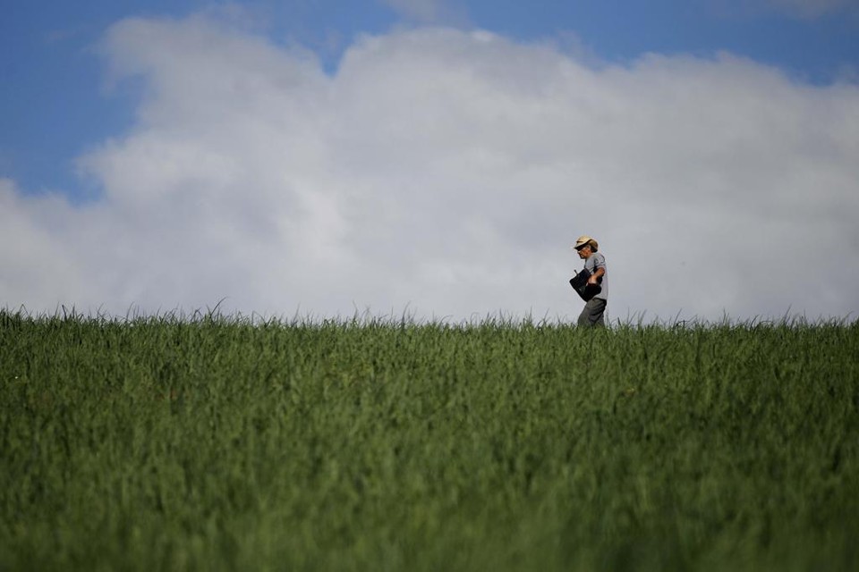 Segundo o Ministério da Agricultura, com acesso ao pré-custeio, os produtores terão maior capacidade de planejamento. | Jonathan Campos/Gazeta do Povo