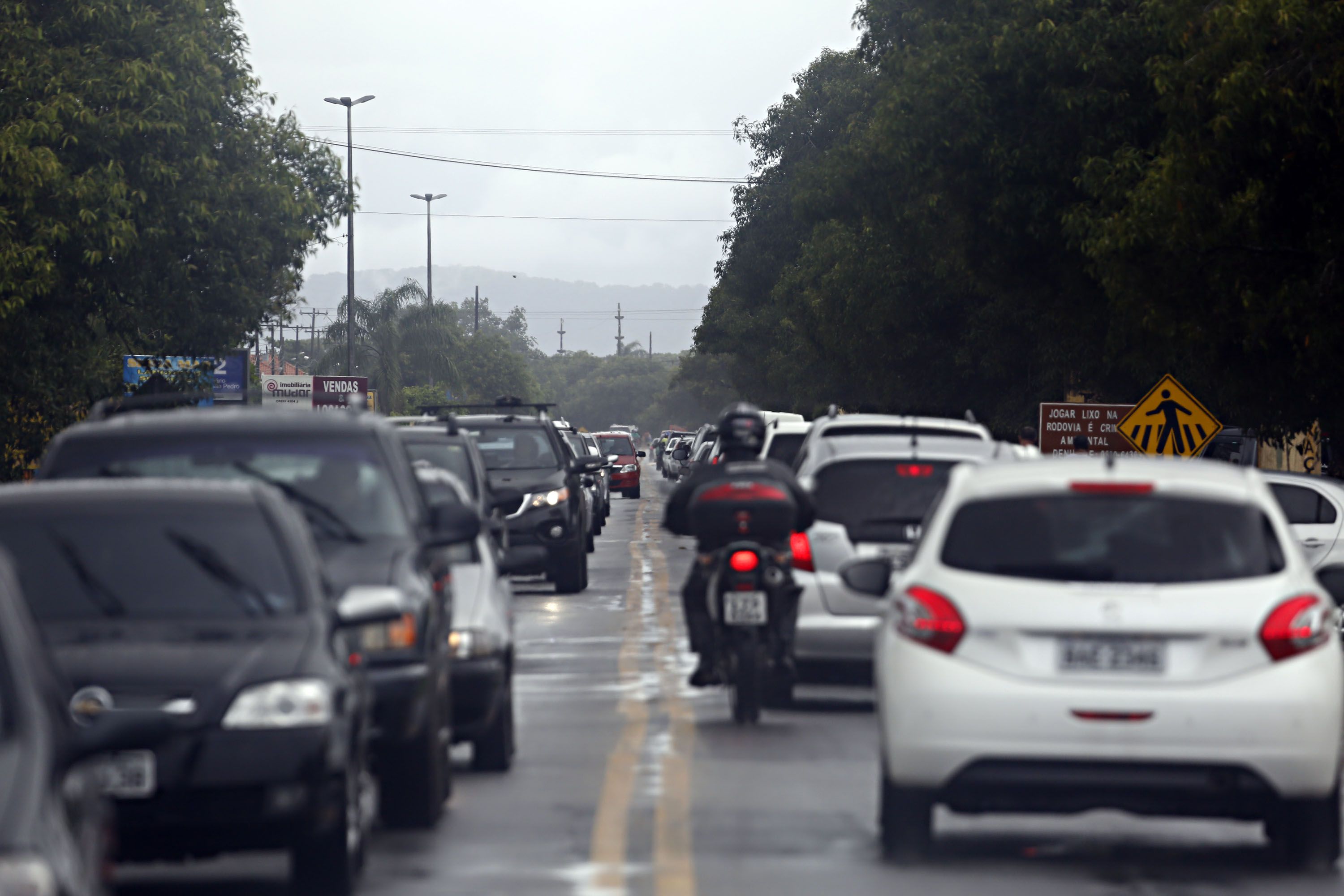 | Felipe Rosa/Gazeta do Povo