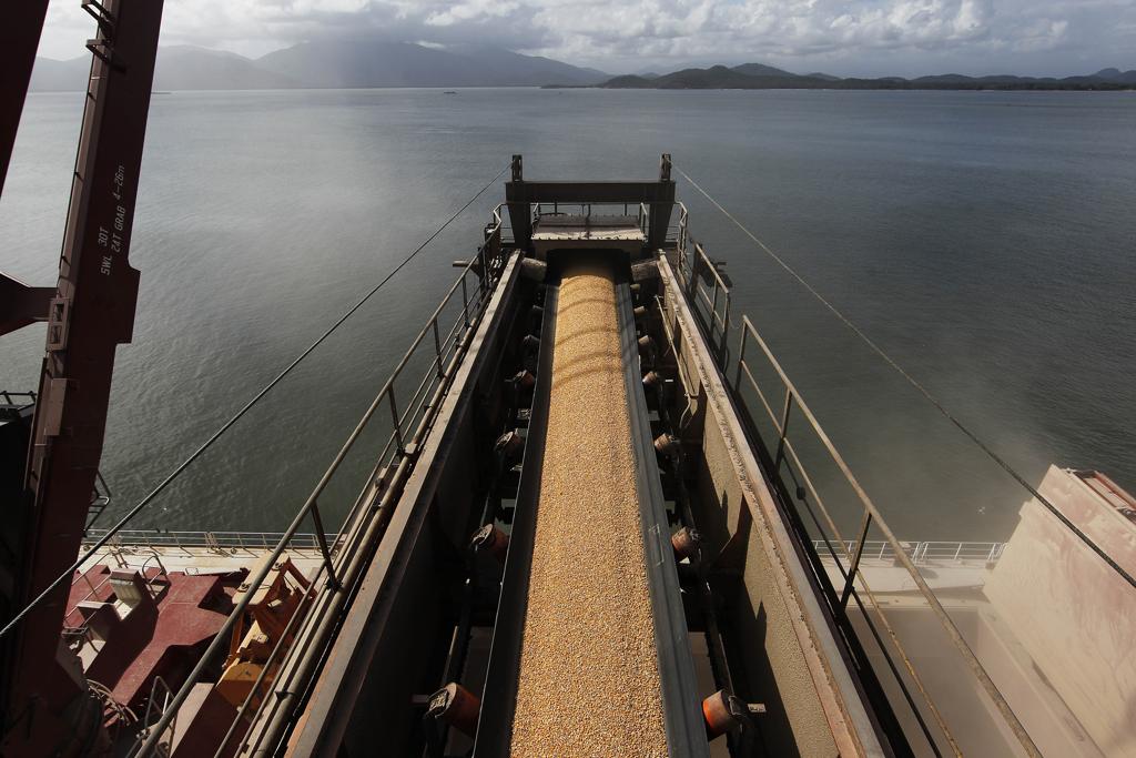 Exportação de milho surpreendeu, mas não foi suficiente para encobrir desvalorização do real. | Jonathan Campos/Gazeta do Povo