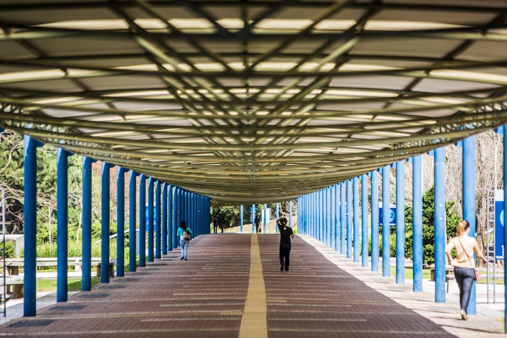 Universidade em Curitiba: associação lamenta que muitos jovens não consigam o Fies. | Brunno Covello/Gazeta do Povo/ Arquivo