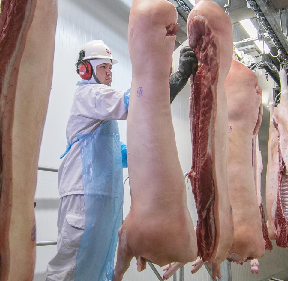 Agropecuária foi o único setor que registrou saldo positivo de empregos em 2015 Em outubro, as cooperativas dos Campos Gerais – Castrolanda, Frísia e Capal – inauguraram a unidade industrial de carne Alegra Foods. Na primeira etapa, a indústria contratou 750 funcionários. | Divulgacao Alegra/Gazeta do Povo