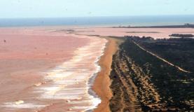 | Paulo de Araújo/MMA/