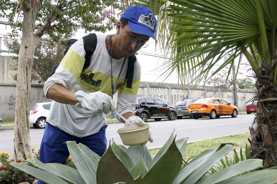 | /Andre Rodrigues /Gazeta do Povo/Arquivo