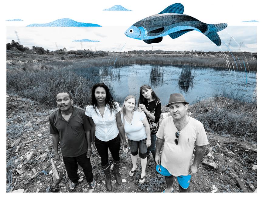 | Henry Milleo/ Gazeta do Povo