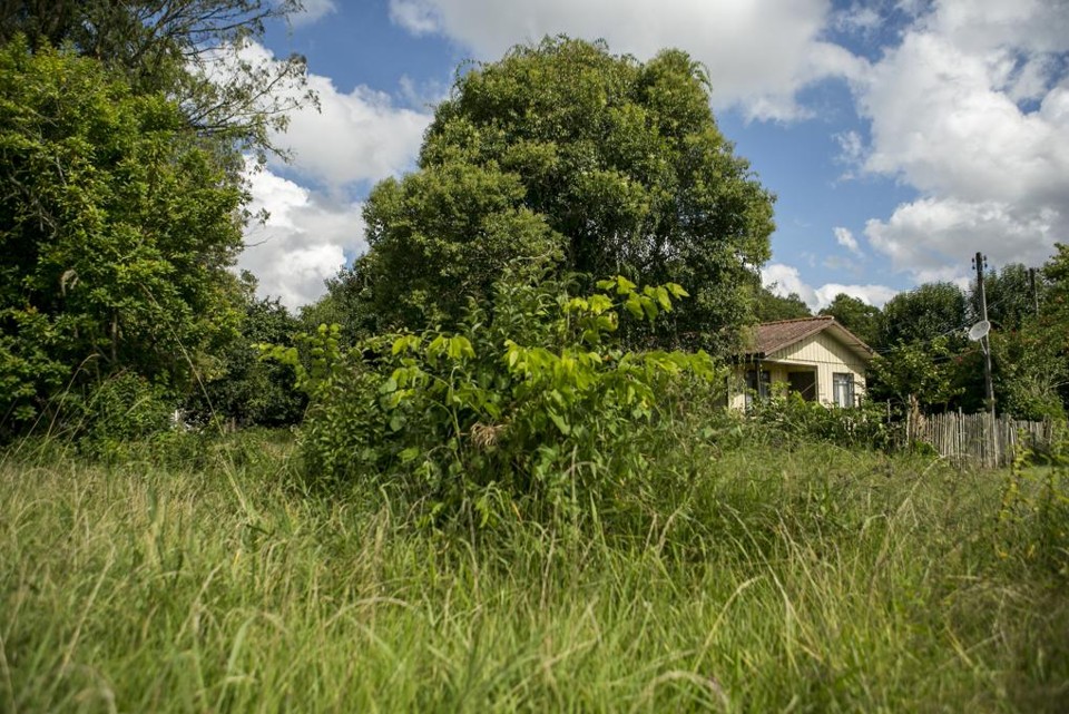 Área que será colocada à venda próxima ao Jardim Botânico. | Marcelo Andrade/Gazeta do Povo